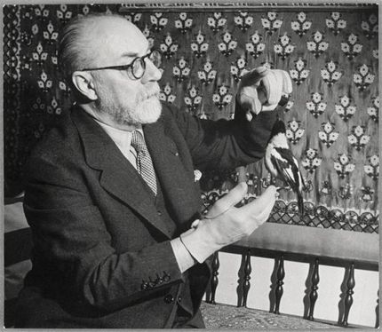 Matisse matar en fågel, 1934.