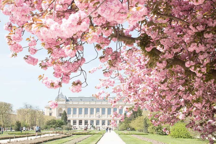 Jardin du Luxenbourg en tidig vårdag.