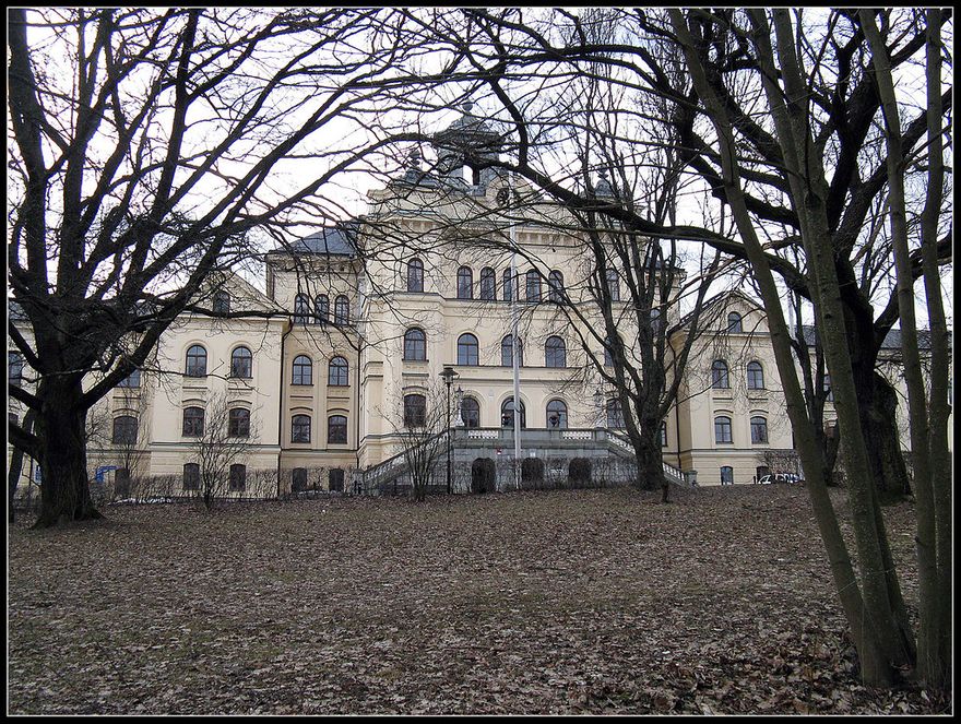Konradsbergs, Stockholms psykiatriska sjukhus - ”Dårarnas slott” för de elaka.
